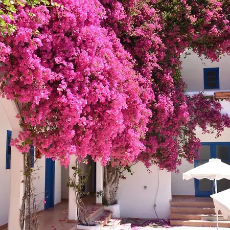 Hotel Boutique Tilos Mare Livadia (Tilos)