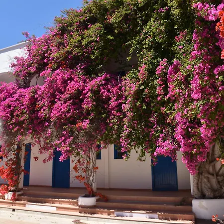Boutique Tilos Mare Hotel Livadia (Tilos)