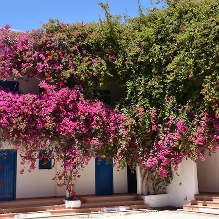Hotel Boutique Tilos Mare Livadia (Tilos)