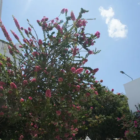 Hotel Boutique Tilos Mare Livadia (Tilos)